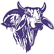Space Coast High School Football